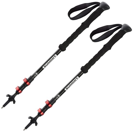 Щеки FUJI CARBON