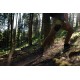 Обувки HIKE UP MID GTX ЧЕРНИ