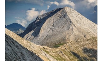 Работно време в почивните дни